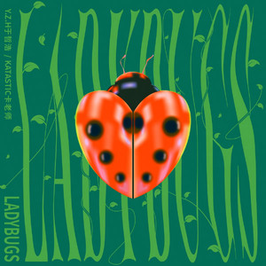 浪荡公子网站视频
