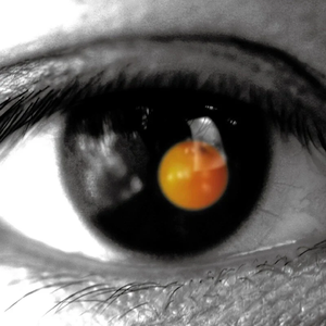 浪荡公子网站视频
