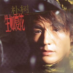 浪荡公子网站视频
