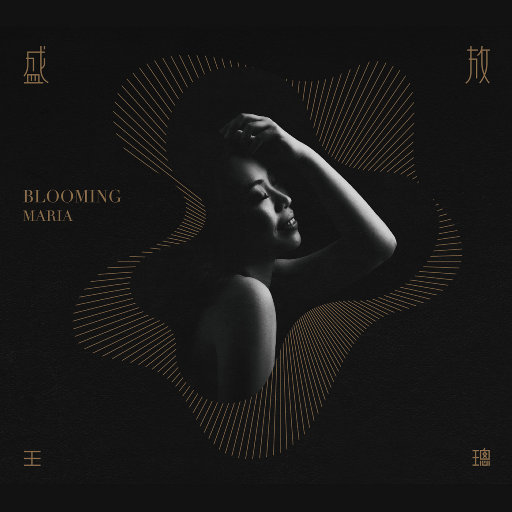 浪荡公子网站视频
